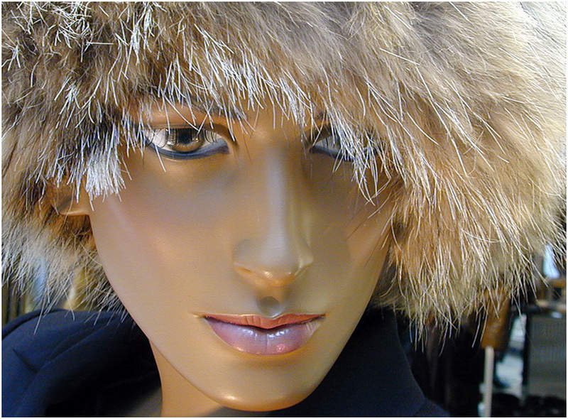 Puppe Dscn2925.jpg -           